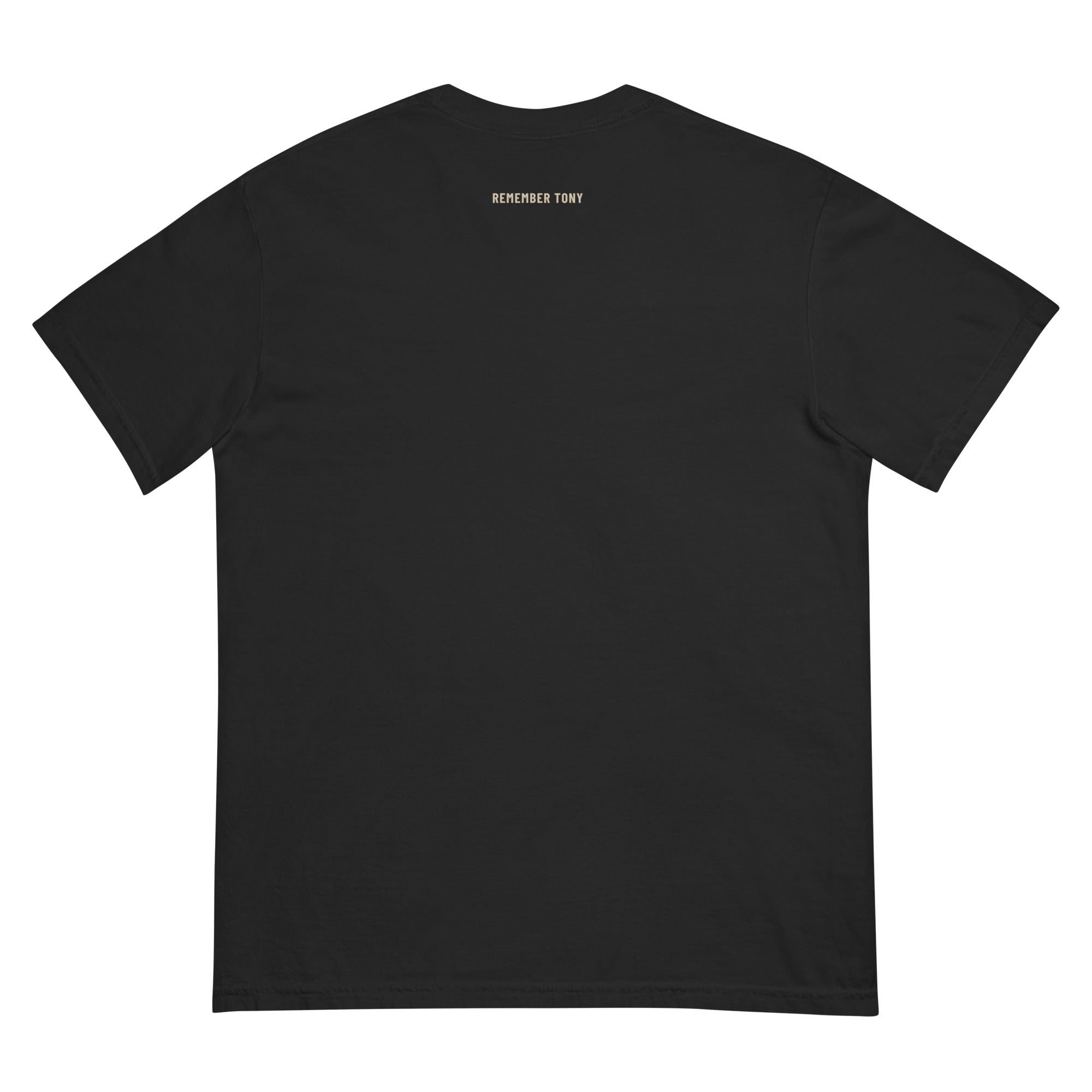 RT box logo tee, washed black, back