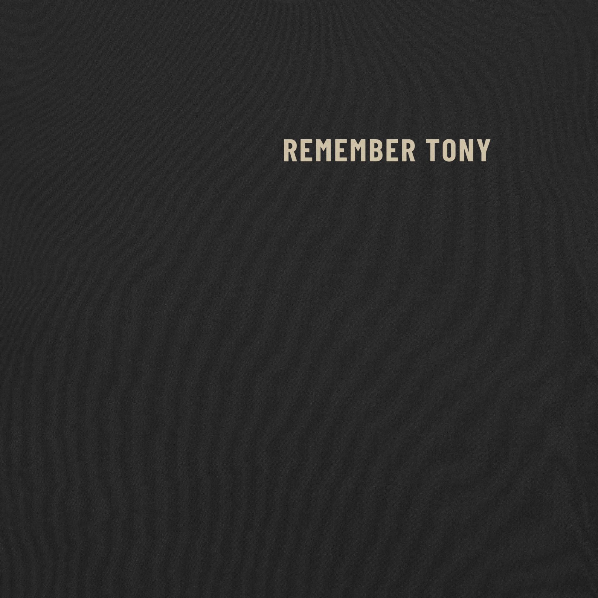 Remember Tony wordmark tee, washed black, front