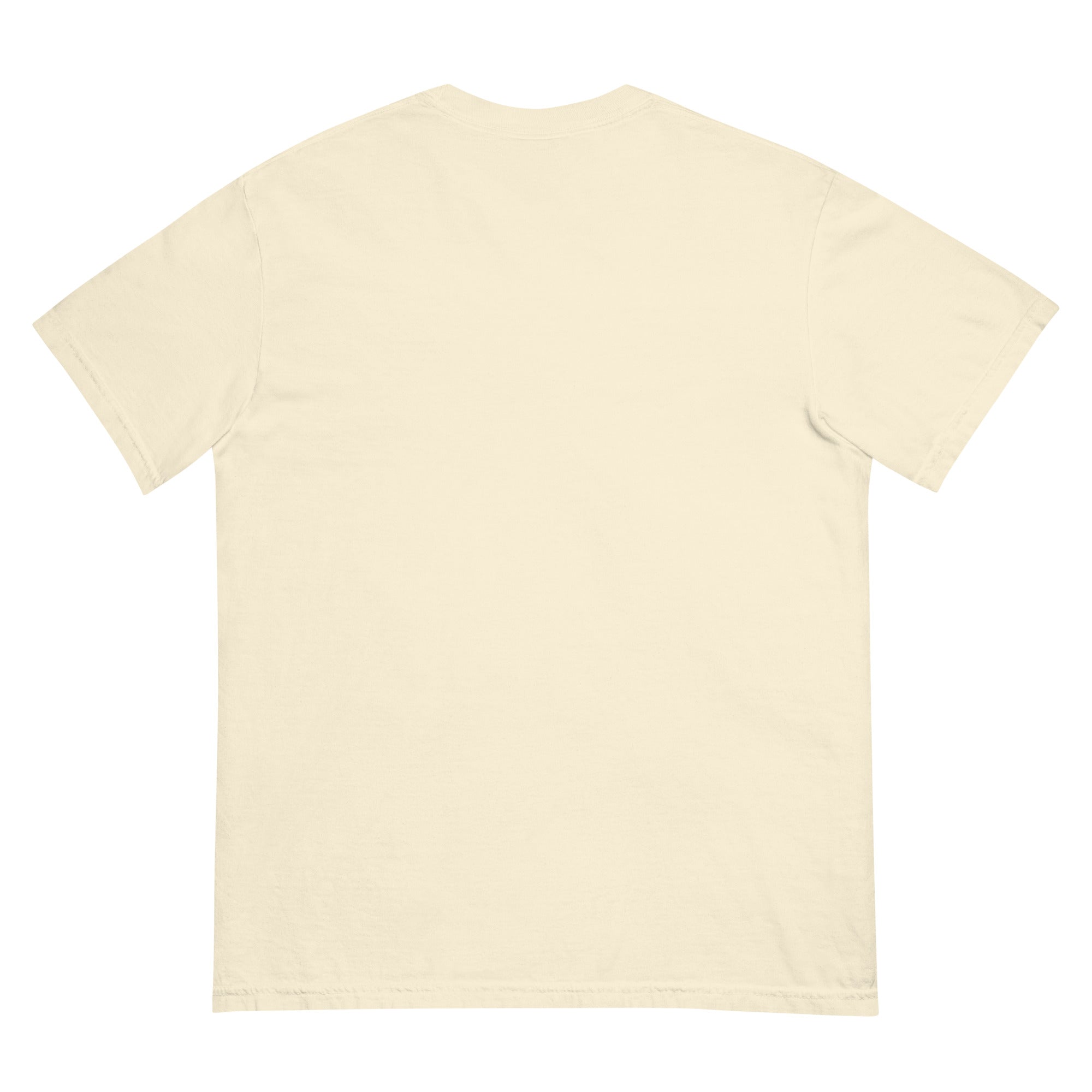 The Signal tee, bone, back
